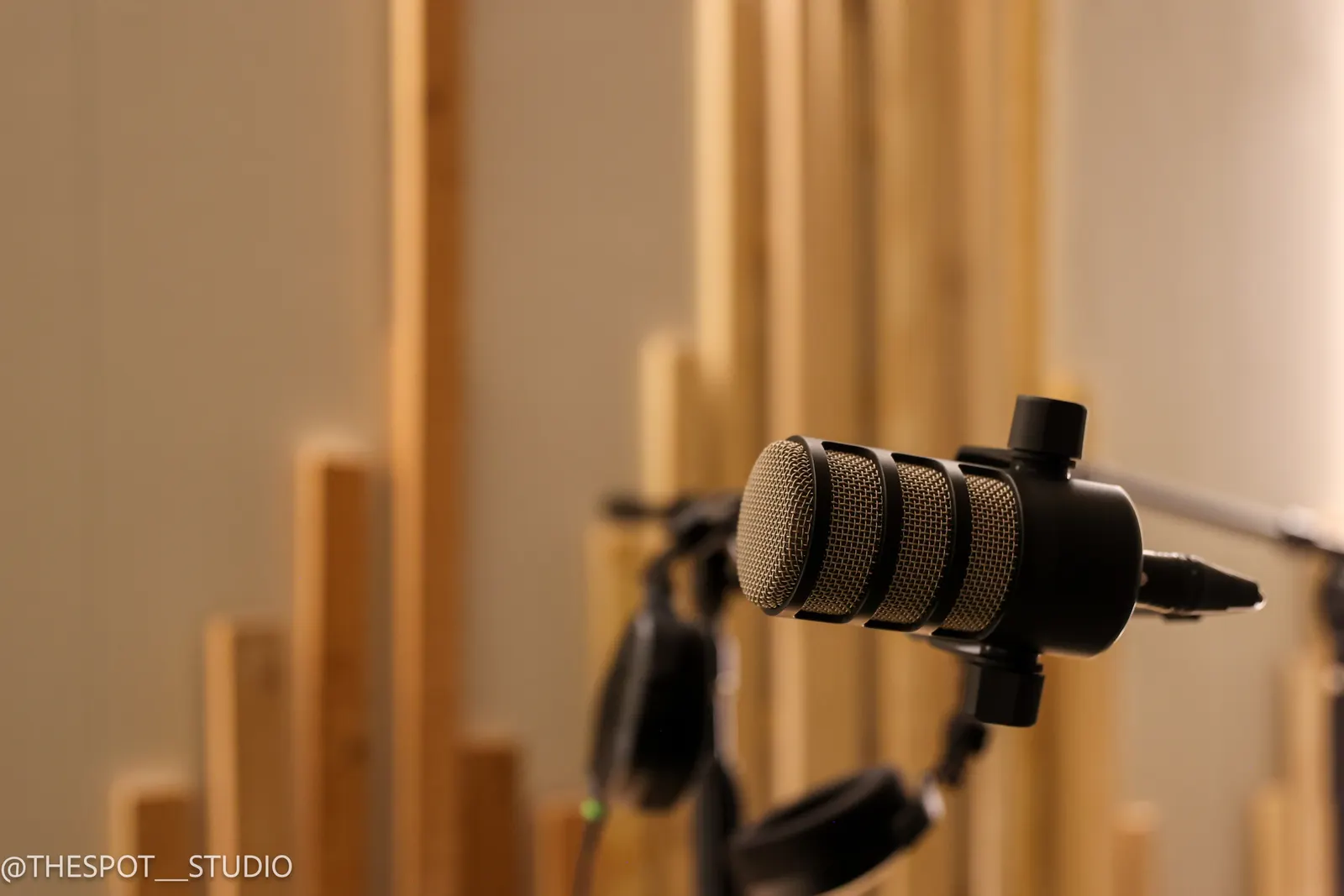 Podcast microphone closeup against the Neutral Room wood slats